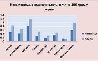 Полба – что это, польза и вред