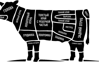 Перечислите части туши говядины используемые для варки