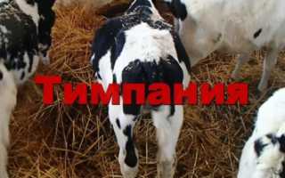 ВЗДУТИЕ ЖИВОТА: ПРИЧИНЫ У ВЗРОСЛЫХ И ЛЕЧЕНИЕ