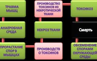 Менактра Вакцина менингококковая, 1 шт., 0.5 мл, раствор для внутримышечного введения