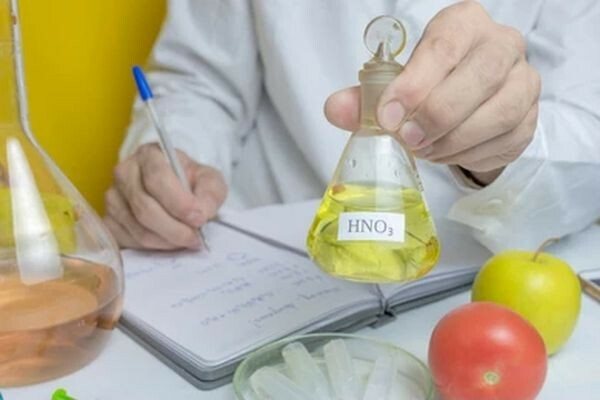 Азот давать голубике можно только в начале вегетативного периода