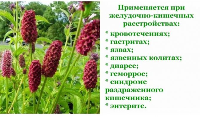 Болезни ЖКТ