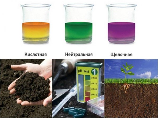 Индикаторы для определения кислотности