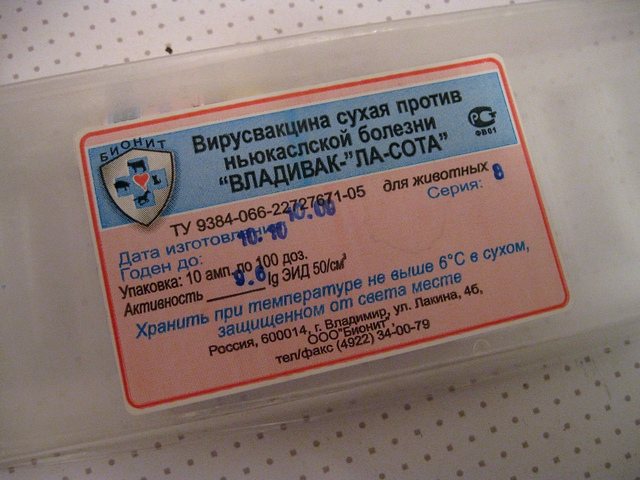 Ла-сота помогает защитить птиц от болезни Нью-Касла