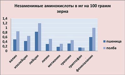 Мука полбы - калорийность, полезные свойства, польза и вред, описание