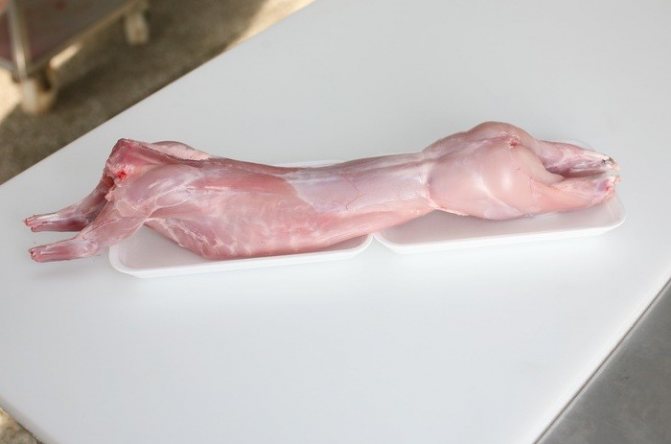 Мясо кролика